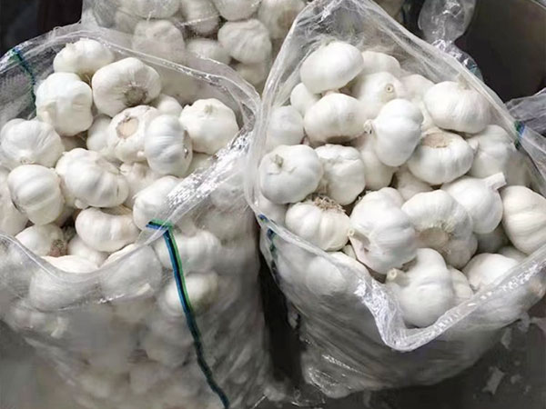 大蒜加工车间